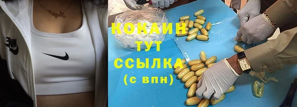 прущие грибы Богородск