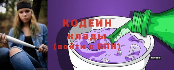 прущие грибы Богородск