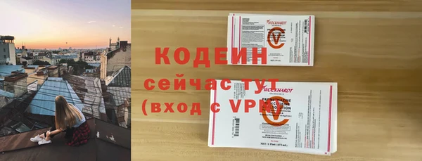прущие грибы Богородск